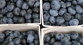 Картинка по теме - как заморозить ягоды