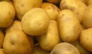 Картинка по теме - как хранить картофель