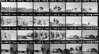 Картинка по теме - как посмотреть фотографии с пользователем