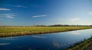 Картинка по теме - как найти участок