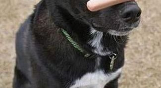 Картинка по теме - как выработать силу