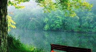 Картинка по теме - как обрести гармонию