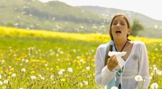 Картинка по теме - как определить, на что аллергия