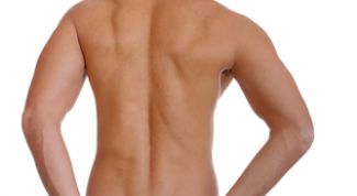 Картинка по теме - как сделать широкие плечи