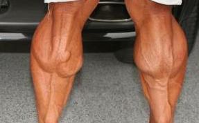 Картинка по теме - как накачать икры на ногах