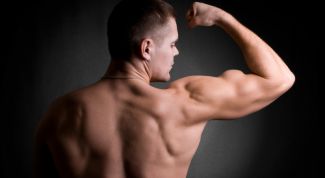 Картинка по теме - как накачать предплечья