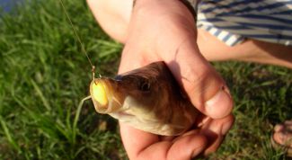 Картинка по теме - как поймать рыбу