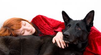 Картинка по теме - как почистить себя от негатива