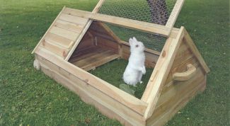 Картинка по теме - как построить клетку