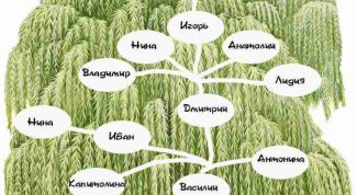 Картинка по теме - как дать свою фамилию