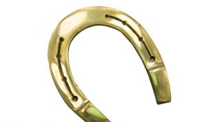 Картинка по теме - как вешать подкову правильно