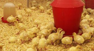 Картинка по теме - как построить ферму