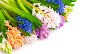 Картинка по теме - как оформить цветы