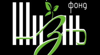 Картинка по теме - как создать свой фонд