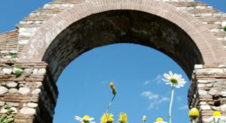 Картинка по теме - как устанавливать арку