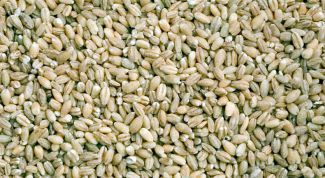 Картинка по теме - как варить перловку для рассольника