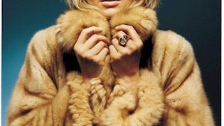 Картинка по теме - как покрасить шубу