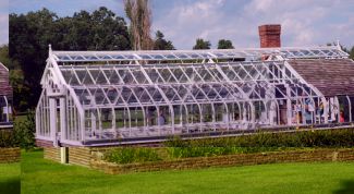 Картинка по теме - как построить теплицу своими руками