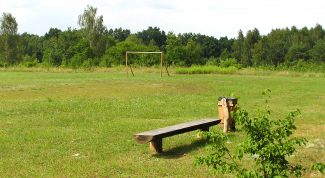 Картинка по теме - как воспитать силу