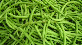 Картинка по теме - как выращивать фасоль