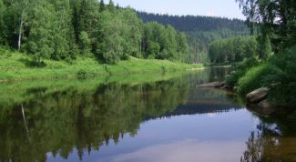 Картинка по теме - как охранять природу