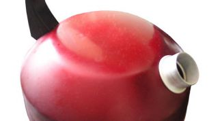 Картинка по теме - как почистить чайник от накипи