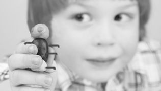 Картинка по теме - как сделать муравья