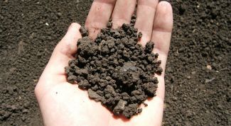 Картинка по теме - как получить землю под строительство дома