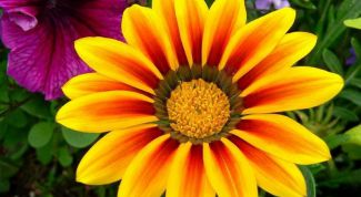 Картинка по теме - как выделить цвет в фотошопе