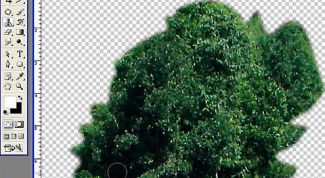 Картинка по теме - как вырезать картинки в фотошопе