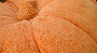 Картинка по теме - как запечь тыкву в духовке