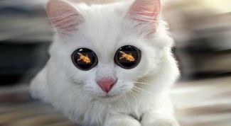 Картинка по теме - как понять, чего хочешь в жизни