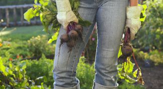 Картинка по теме - как отдохнуть в выходные