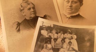 Картинка по теме - как узнать свои корни