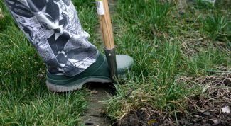 Картинка по теме - как сделать огород