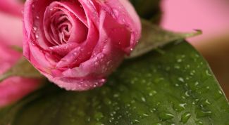 Картинка по теме - как подписать открытку ко дню рождения