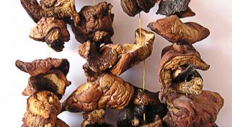 Картинка по теме - как варить суп из сушеных грибов