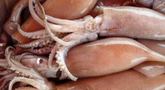 Картинка по теме - как почистить кальмары