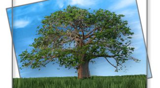 Картинка по теме - как слить слои