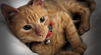 Картинка по теме - как затемнить края фотографии