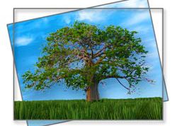 Картинка по теме - как сделать прозрачный фон в фотошопе