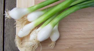 Картинка по теме - как вырастить зелёный лук