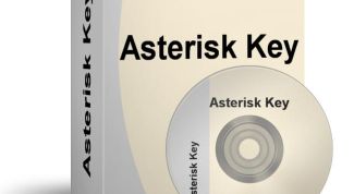 Картинка по теме - как посмотреть пароль за звездочками