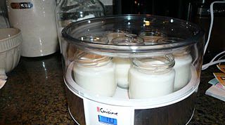 Картинка по теме - как выбрать йогуртницу