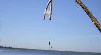 Картинка по теме - как ловить на жерлицу