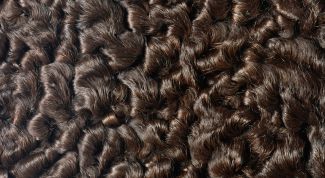 Картинка по теме - как выделать шкуру в домашних условиях