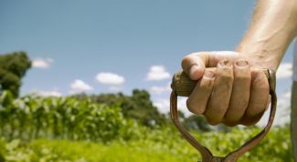 Картинка по теме - как спланировать участок