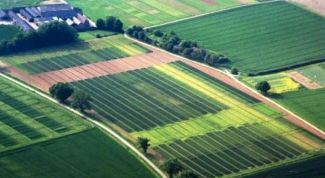 Картинка по теме - как купить участок