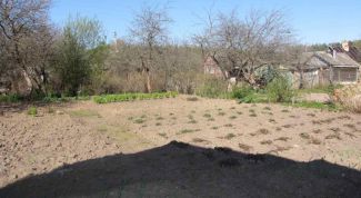 Картинка по теме - как оформить куплю-продажу участка