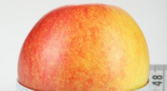 Картинка по теме - как повысить вес